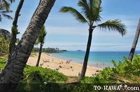 Charley Young Beach