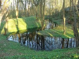 Fort Wilczy