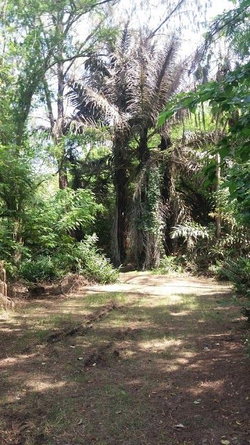 Butterfly Pavilion