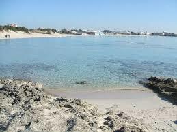 Isola della Malva