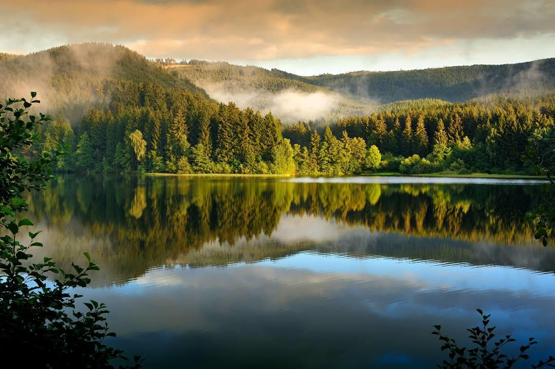 Nationalpark Harz