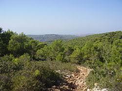 Mount Shokef