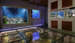 Akvarij Piran