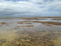 Praia Peroba