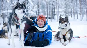 Husky Travels Oy
