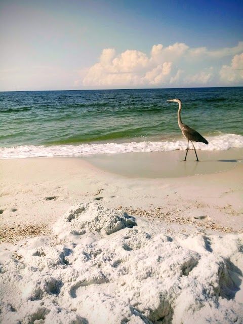 Johnson's Beach