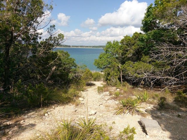 Madrone Trail
