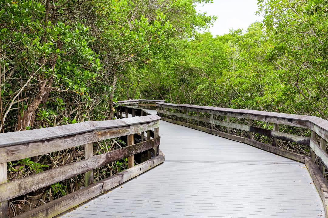 Clam Pass Park