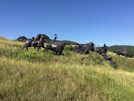 Tatanka: Story of the Bison