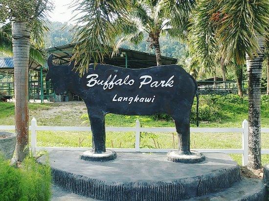 Buffalo Park Langkawi
