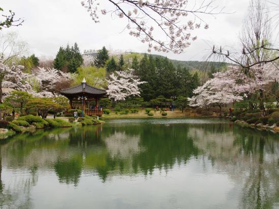 Bomun Lake Resort