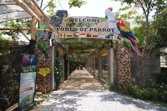 Batu Eco Green Park Fun & Study