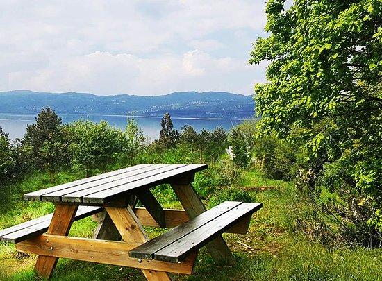 Sakarya Il Ormani Tabiat Parki