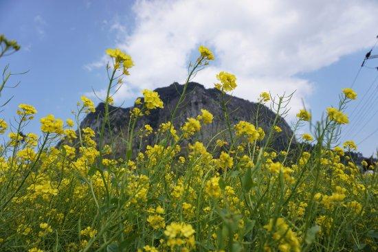Mont Sanbangsan