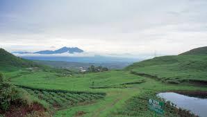 Puncak