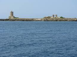 Vardiani