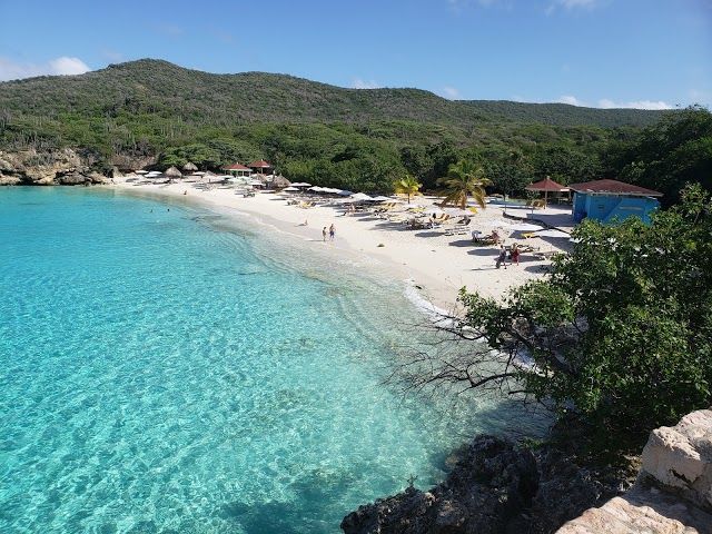 Grote Knip