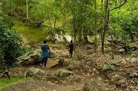 Thuvanam Waterfalls