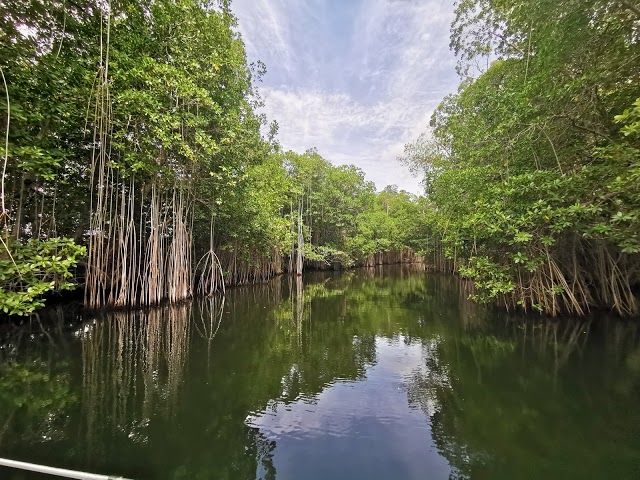 J Charles Swaby's Black River Safari