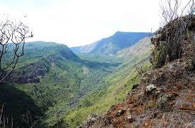 Suswa