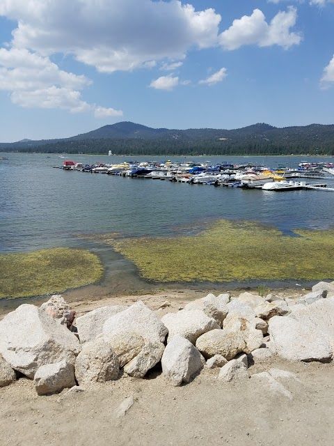 Pine Knot Marina