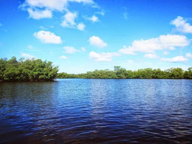 Rookery Bay Environmental Learning Center