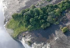 Livingstone Island
