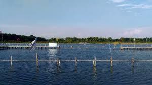 Hazarapar Lake