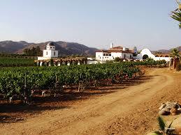 La Ruta del Vino