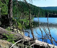Großer Arbersee