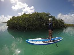Mangrove Cay