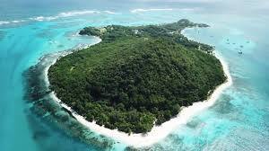 Petit Saint Vincent