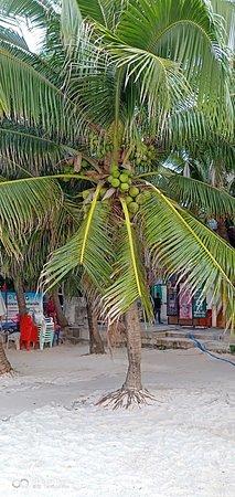 Jirawan Restaurant