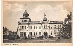 Palace in Osiek