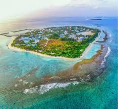 Ungoofaaru