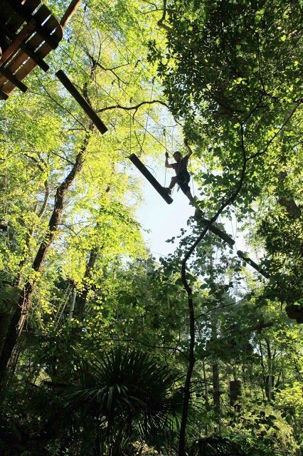 Trees Adventure