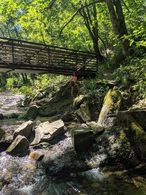 Swan Creek Park