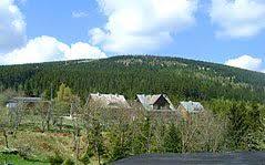 Čelo
