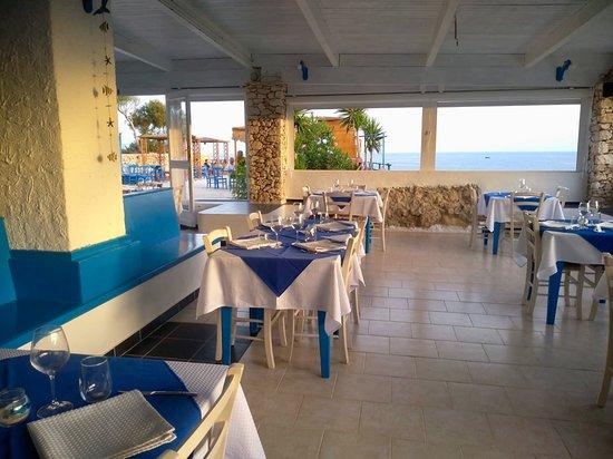 Ameca Lampedusa