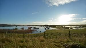 Druridge Pools