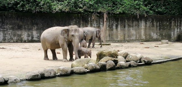 Zoo Taiping