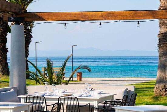 Magnolia Mediterranean Restaurant