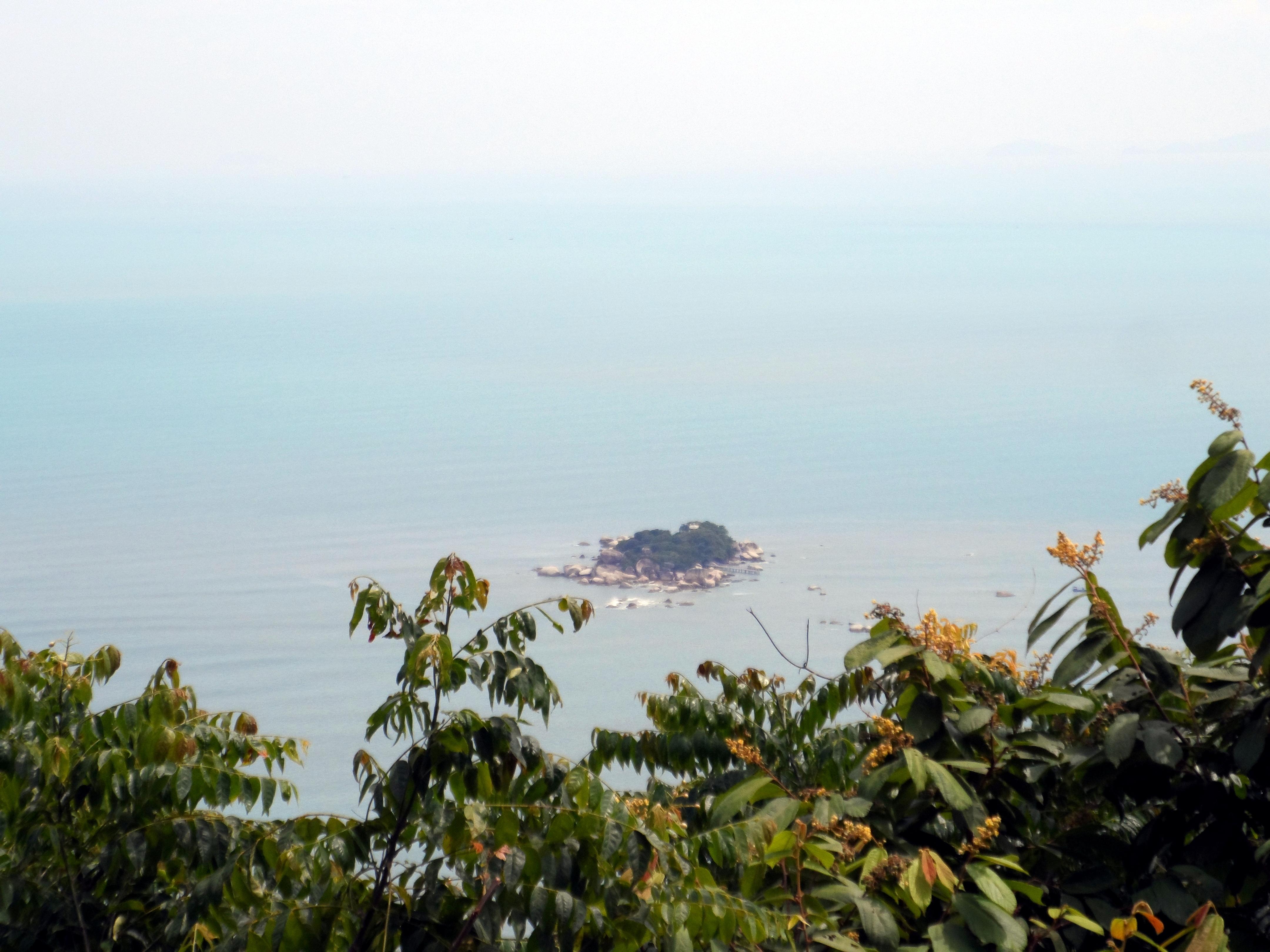 Tikus Island