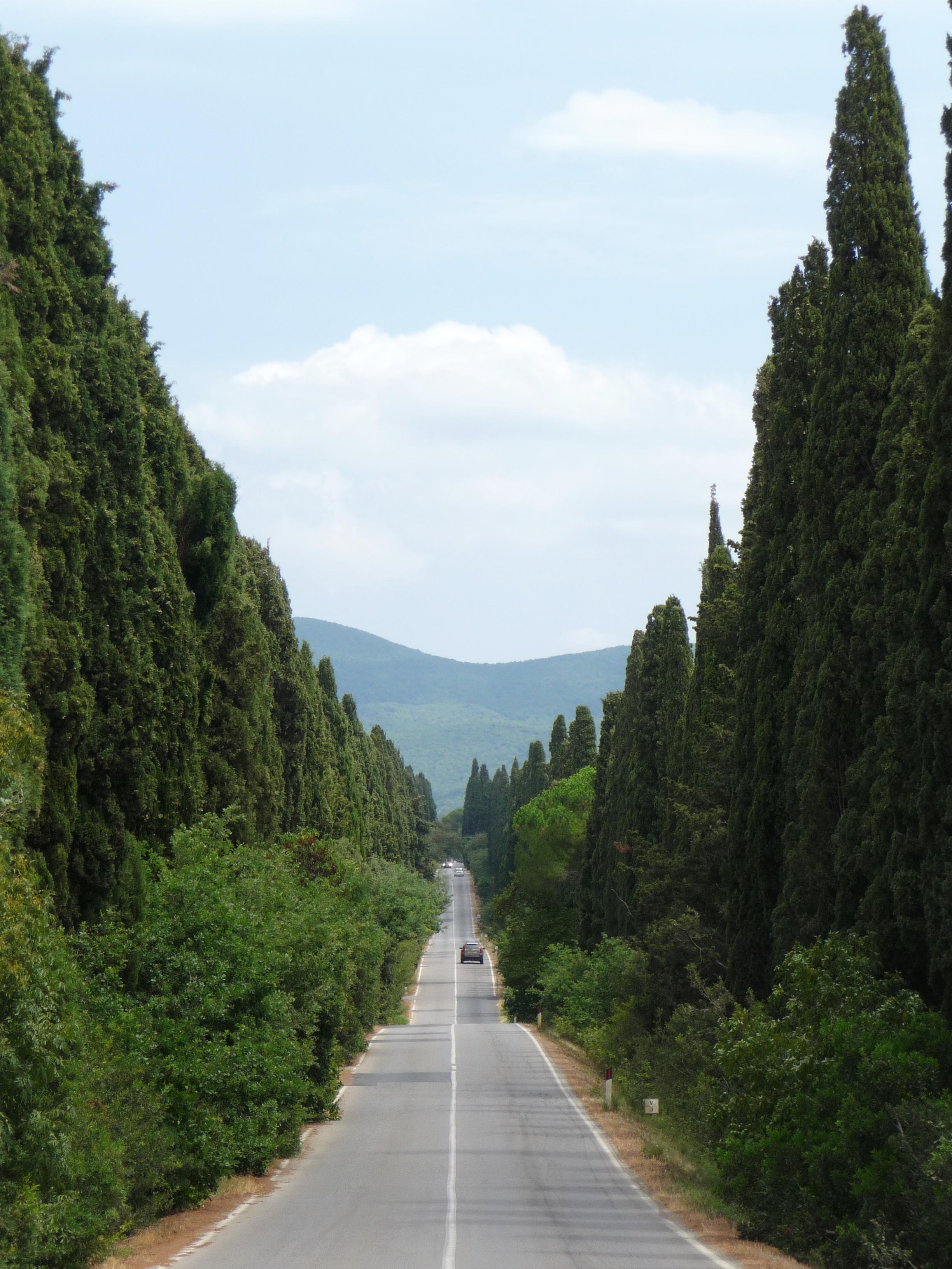 Viale dei Cipressi