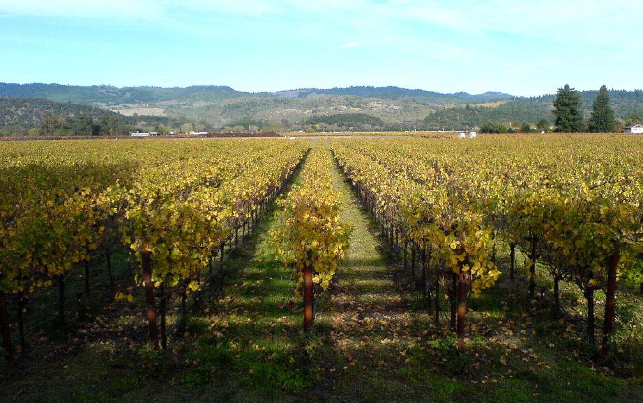Heitz Wine Cellars