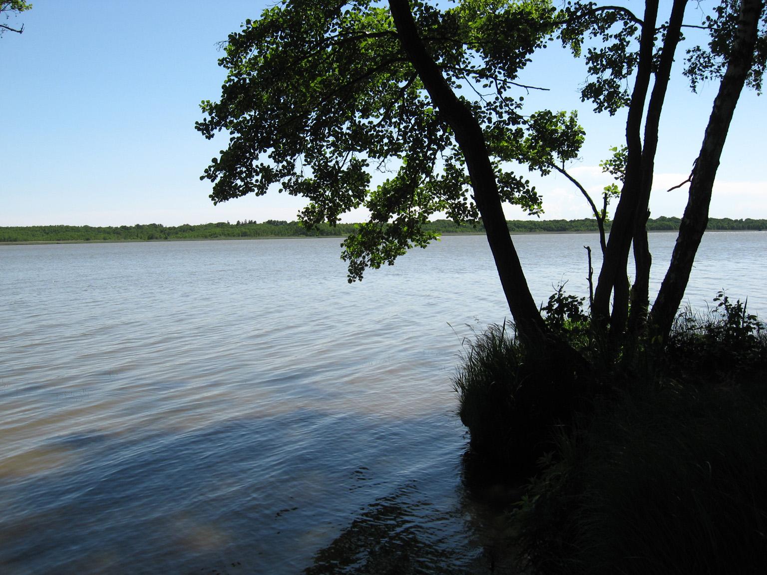 Sarbsko Lake