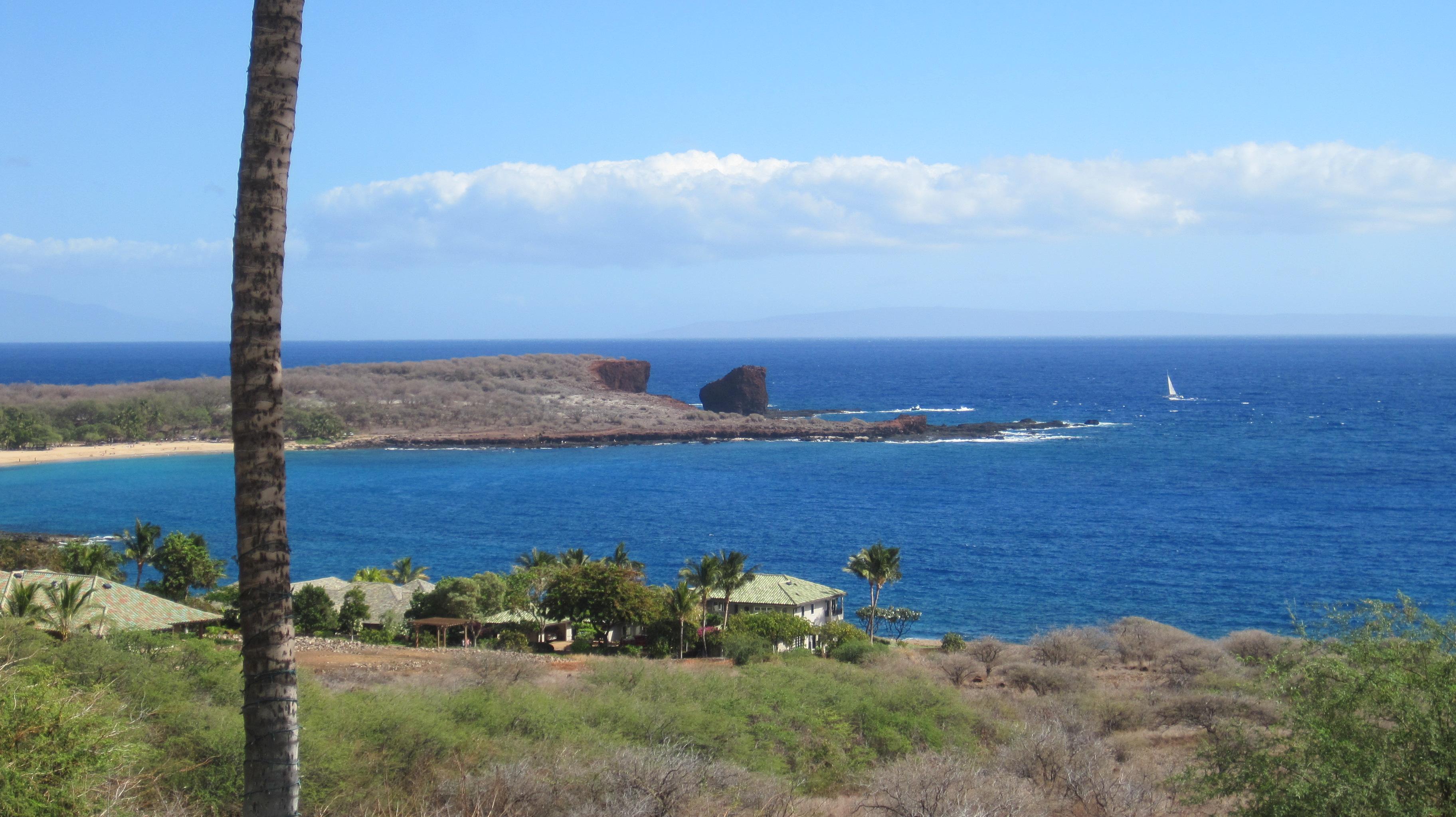 Pu'upehe Platform