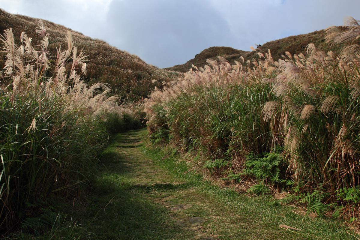 Jinbaoli Trail