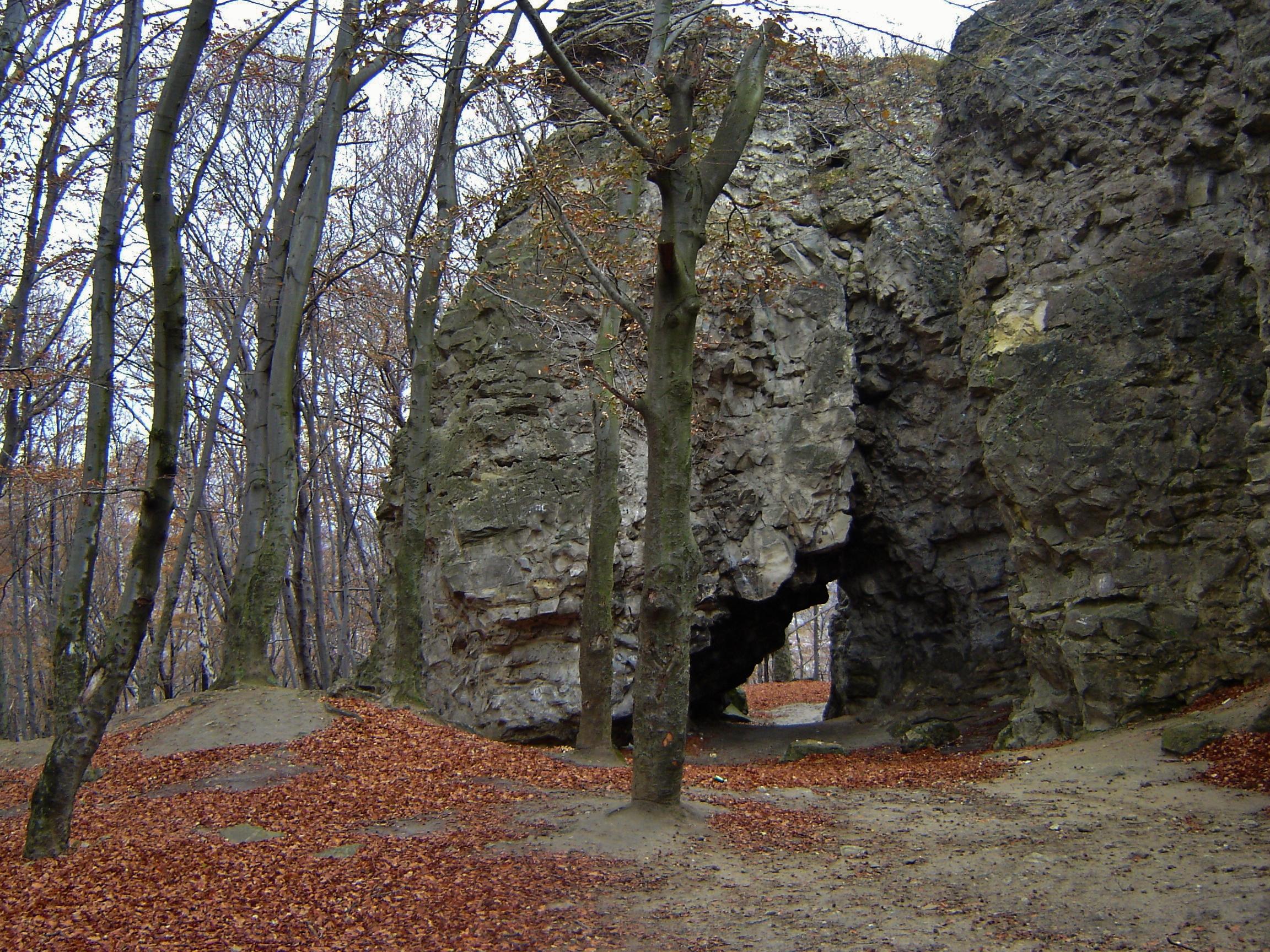 Vynnykivs'kyy Lis
