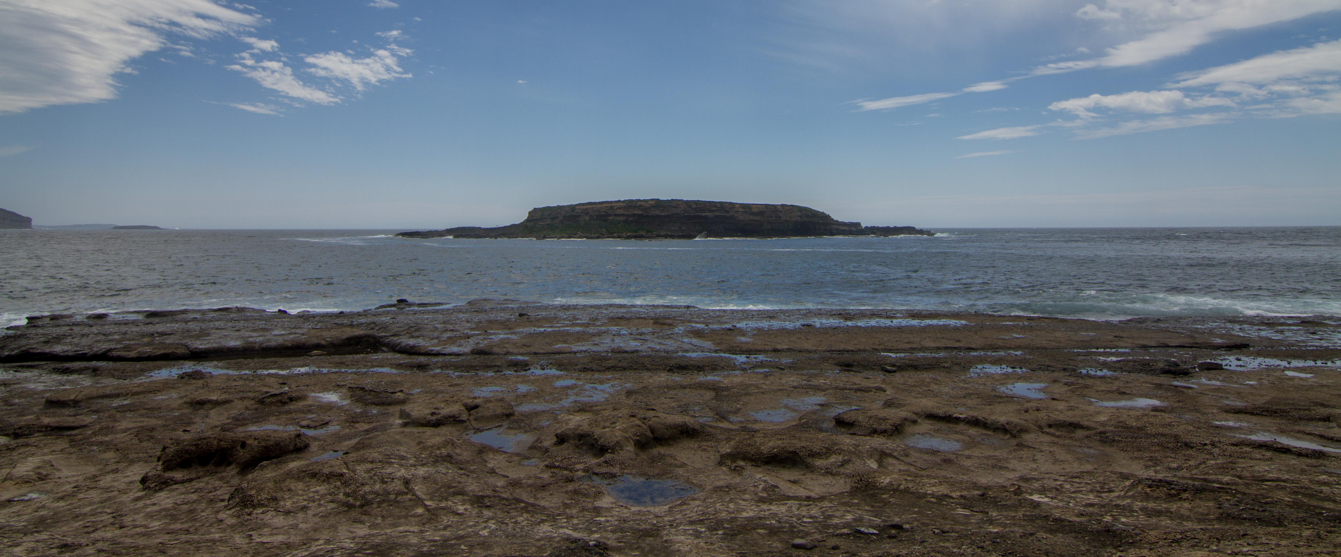 Wasp Island